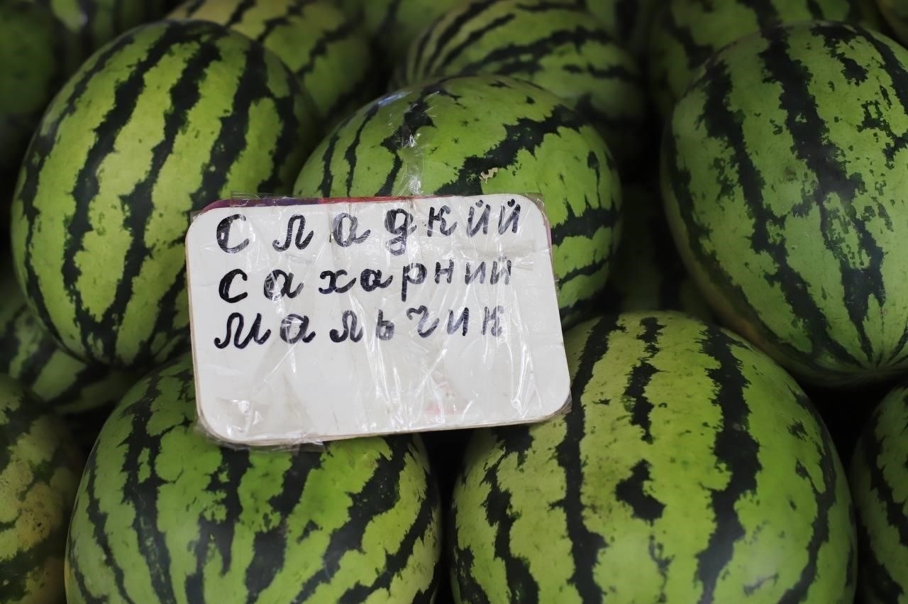 Что проверяется во время сертификации арбузов в 2022 году?