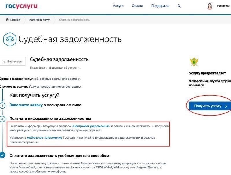 Как интерпретировать результаты поиска долгов