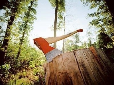 Позиция Верховного суда по вопросу о деревьях как о собственности: Почему сосны не являются недвижимостью