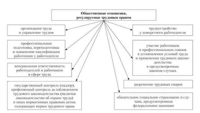 В системе трудового права судебная практика установила особые критерии для лиц, желающих выйти на работу раньше установленного возраста, особенно в профессиях с тяжелыми физическими нагрузками. Например, врачи-дефектоскописты часто просят о досрочном выходе на работу в связи с напряженным характером работы, которая может включать в себя воздействие гамма-излучения и других опасных веществ. В таких случаях условия работы и наличие вредных факторов существенно влияют на процесс принятия решения судом.